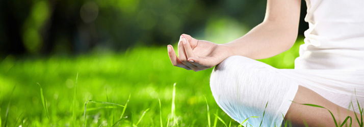 Sterling Chiropractor Talks about Wellness Care