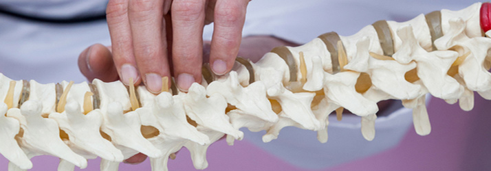 What Are The Educational Requirements For A Chiropractor in Sterling?